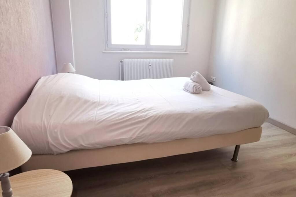 Appartement F2 Cosy Proche Centre Strasbourg Luaran gambar